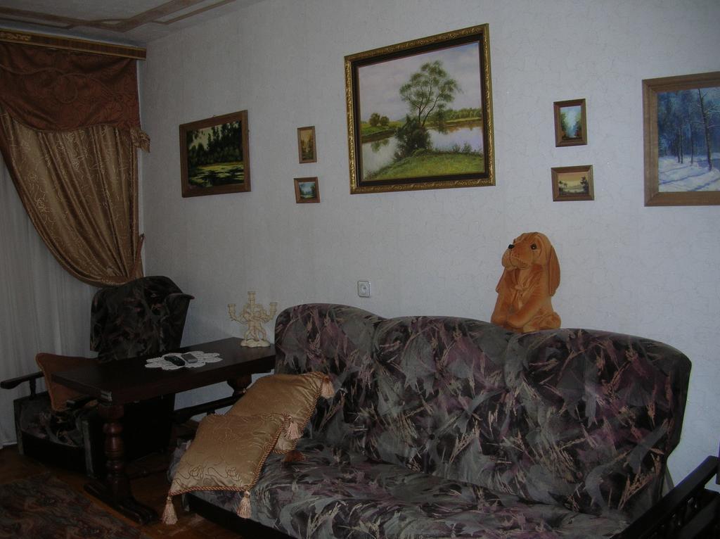 Проспект Космонавтів 42 Daire Vinnitsya Oda fotoğraf